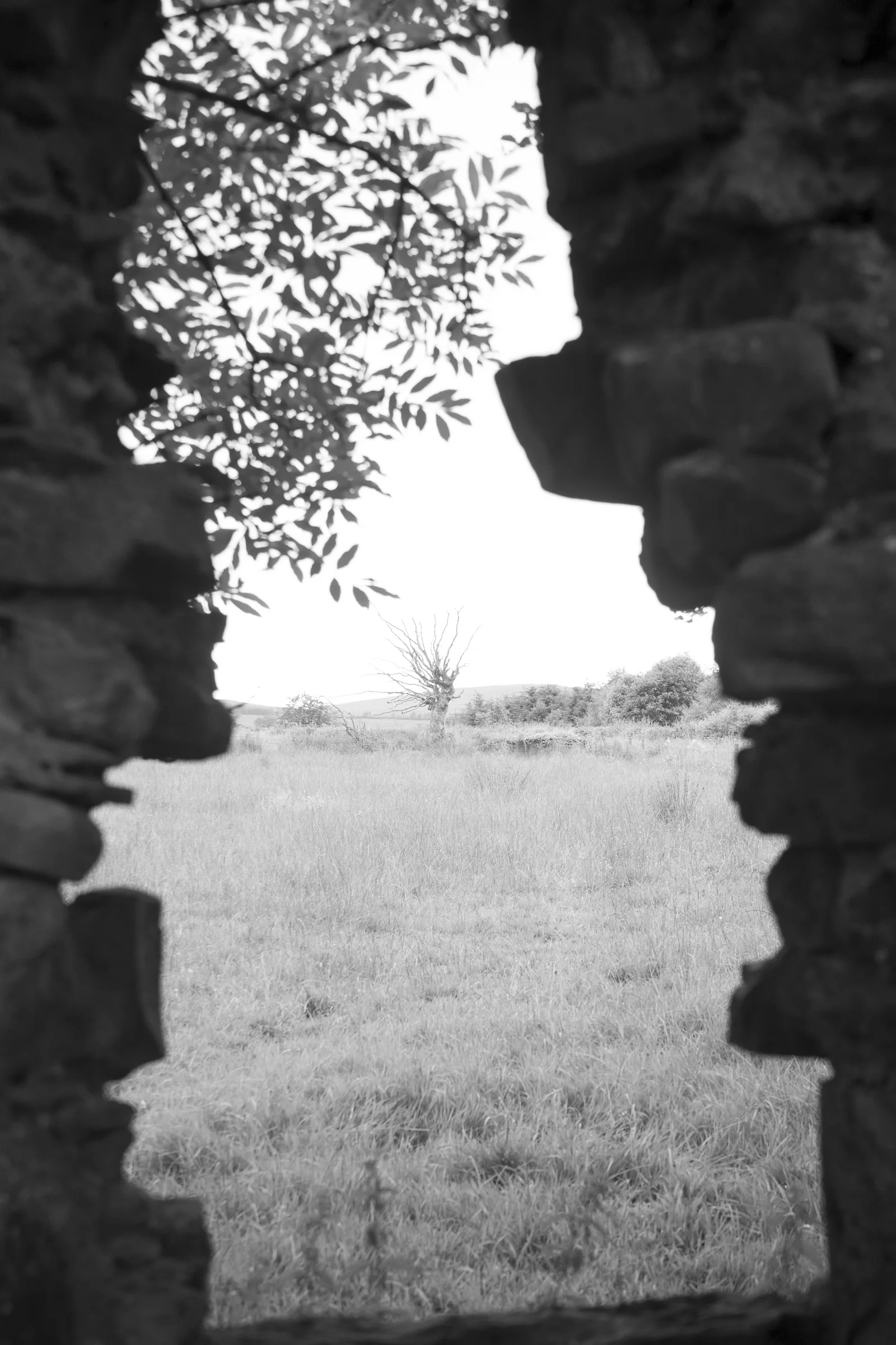 A broken stone opening frames an empty sunlit field.